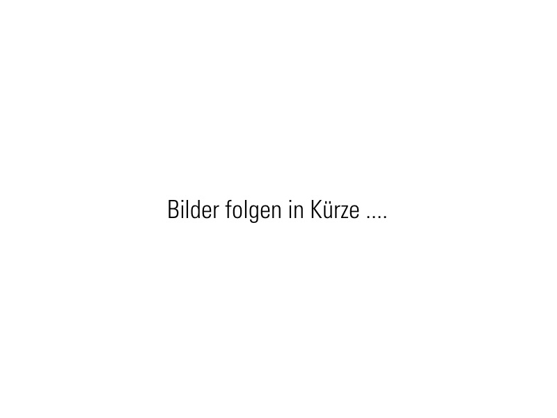 Titelbild  MFH Dinkelhof 8+10 | 5706 Boniswil Ersatz Aussenbeleuchtung