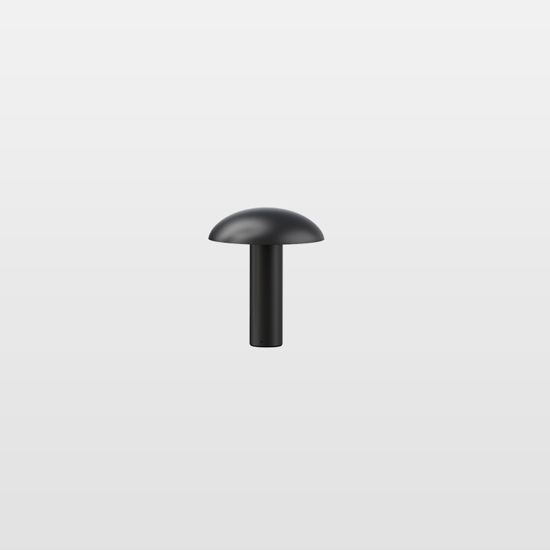 MUSHROOM-25 Produktbild