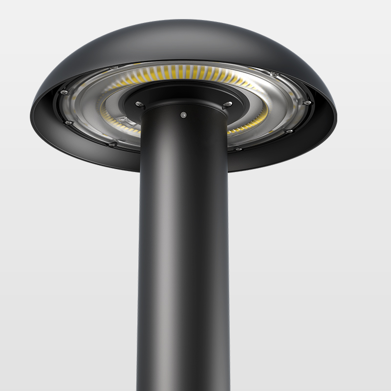 MUSHROOM-100 Detailansicht